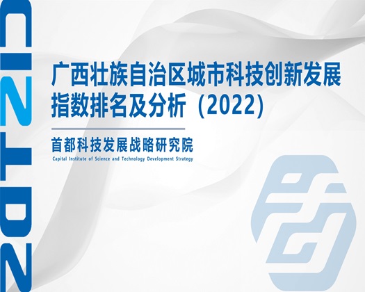 男的吊伸进女人的逼里狂草【成果发布】广西壮族自治区城市科技创新发展指数排名及分析（2022）